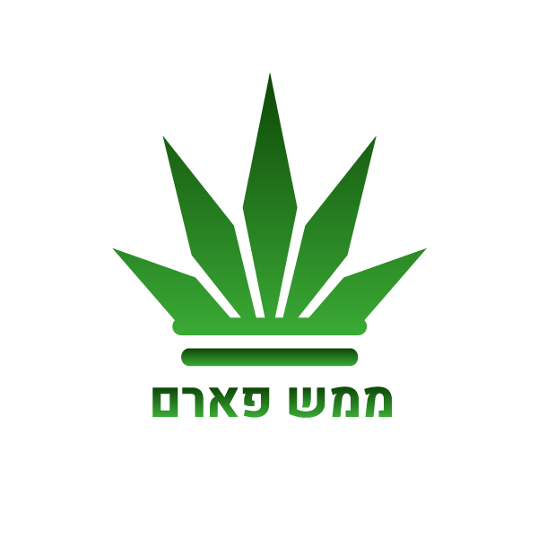ממש2